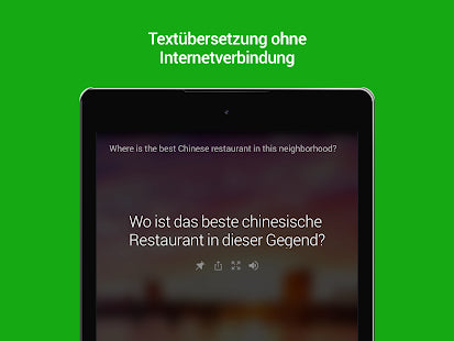 Microsoft Translator - IT Guru (Guru e.U.)