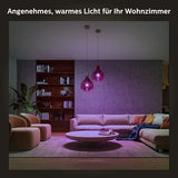 Philips Hue White & Col. Amb. E27 LED lámpa indítókészlet 2db-os intelligens gomb, 16 millió szín, szabályozható, alkalmazáson keresztül vezérelhető, kompatibilis az Amazon Alexával (Echo, Echo Dot) - EDV-Guru (Guru e.U.)