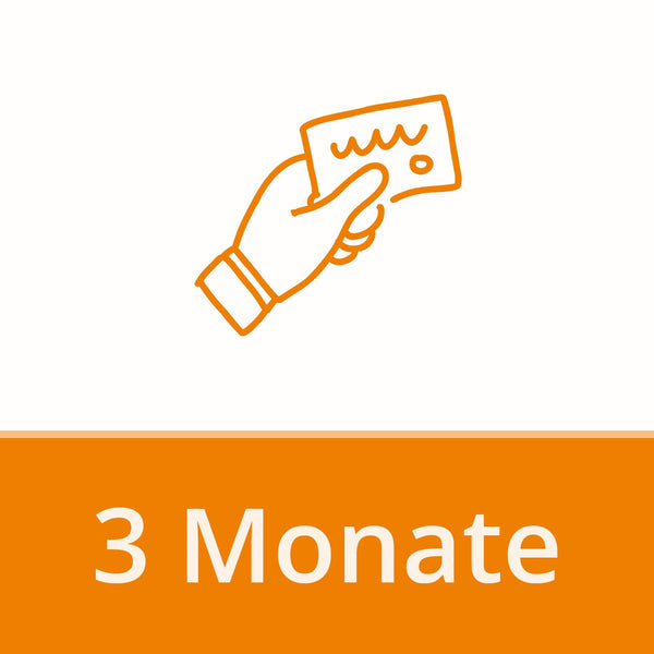 COMPANY ADDRESS 3 months | 85 € per month - EDV-Guru (Guru e.U.)