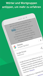 Google Chrome: Navega con seguridad - EDV-Guru (Guru e.U.)