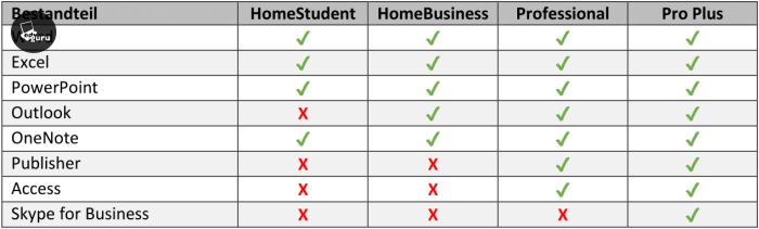 Windows 10 Home + Office 2016 Professional Software