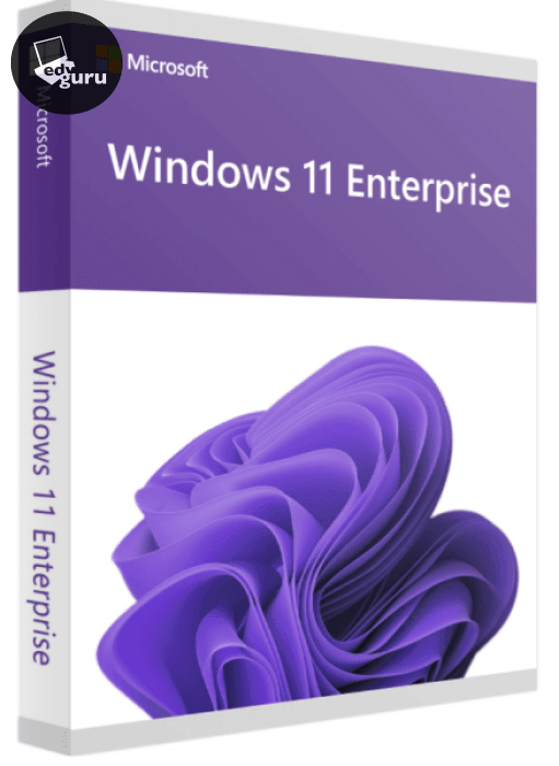Software empresarial Windows 11
