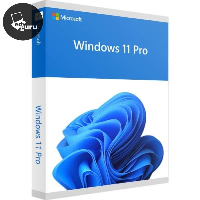 Software Windows 11 Professional