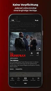 Netflix – IT Guru (Guru e.U.)